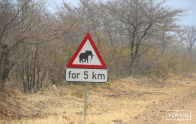 conduite 4x4 safari en famille au botswana